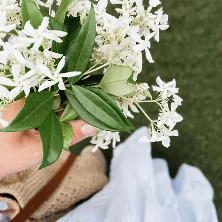 Amy Casetta Di Charme Vercelli